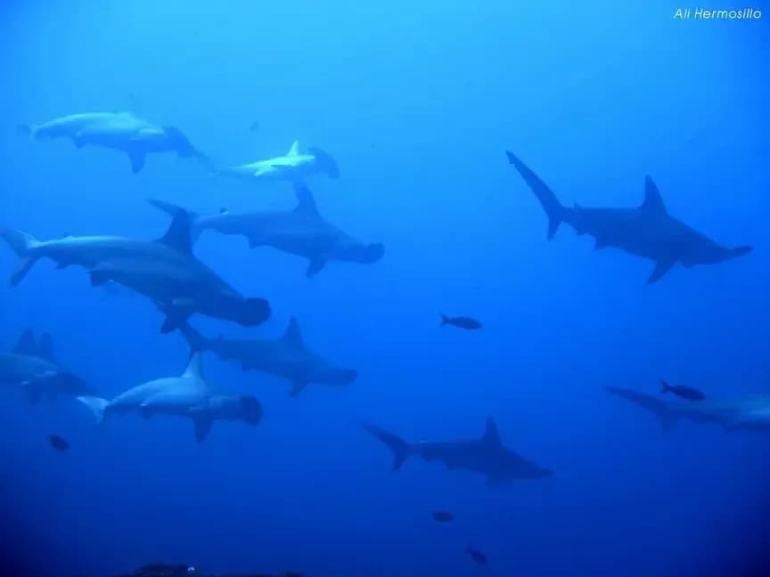 Carousel - image Carousel - image