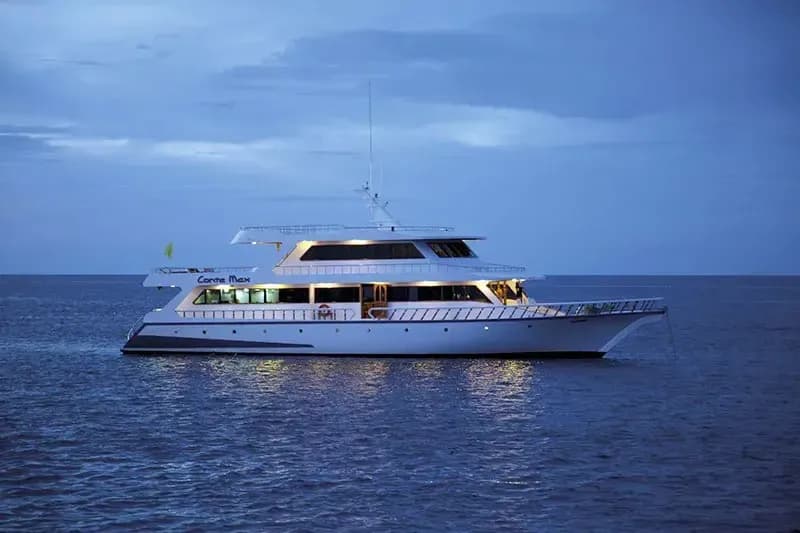 Carousel - image Carousel - image