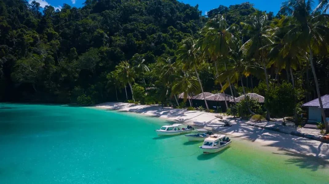 Carousel - image Carousel - image