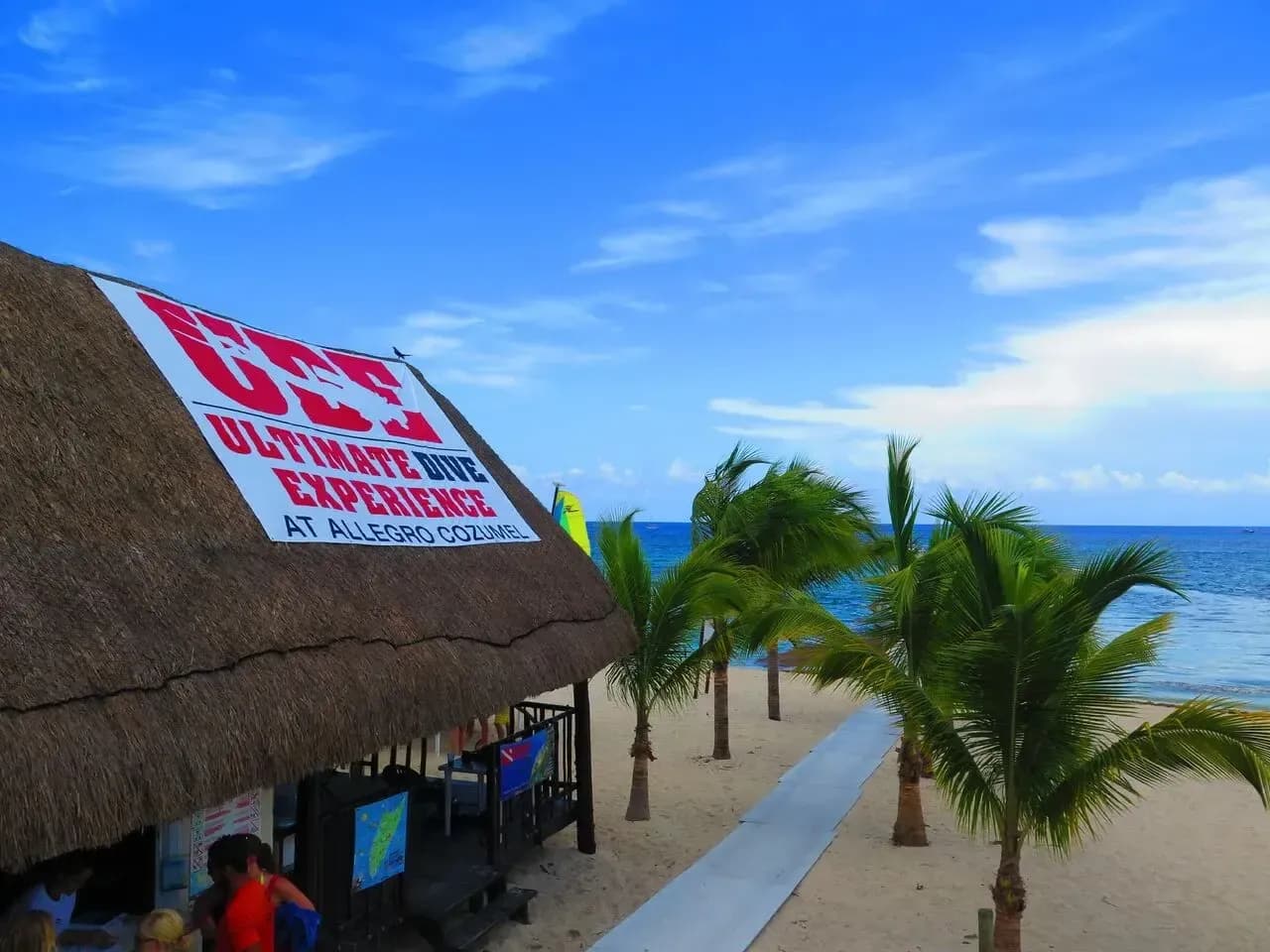 Carousel - image Carousel - image