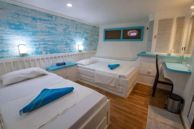 Sachika Liveaboard Special November 2025 Sachika Liveaboard Special November 2025