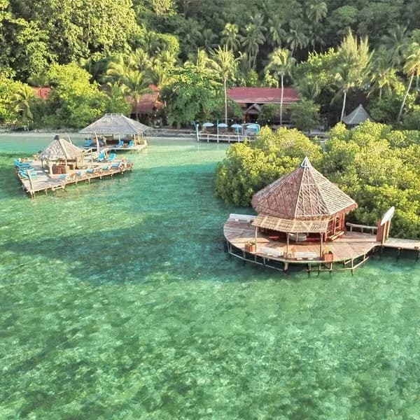 Carousel - image Carousel - image