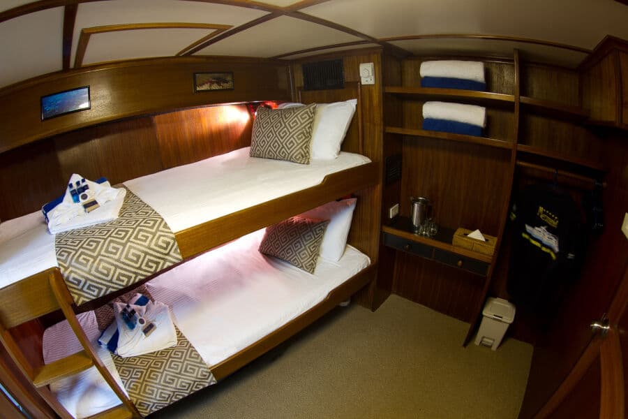 Budget Cabin Lower Deck - image Budget Cabin Lower Deck - image
