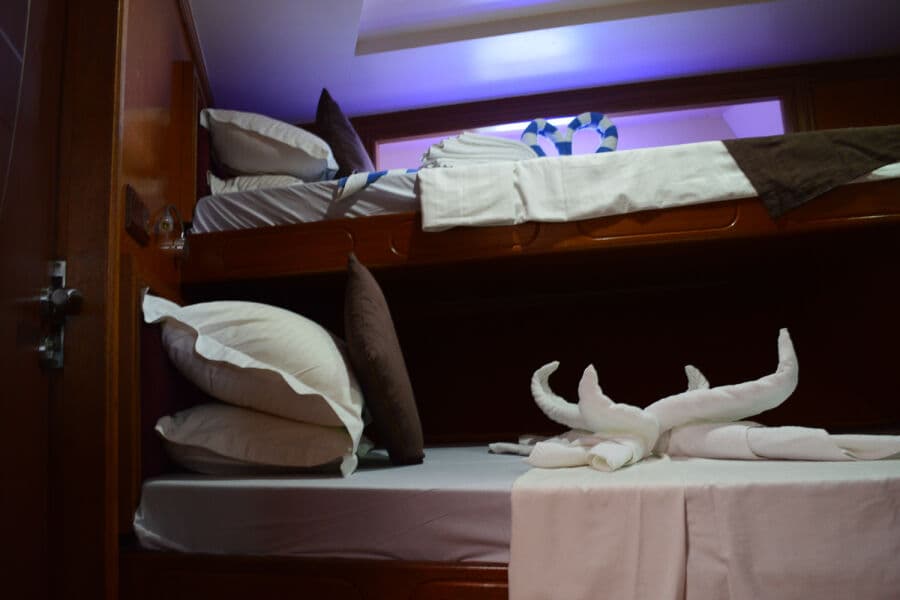 Cabin 4 - Single Lower Deck - image Cabin 4 - Single Lower Deck - image