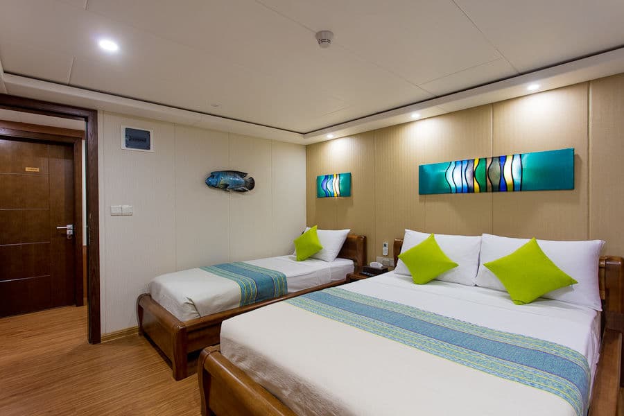 Standard Lower Deck - image Standard Lower Deck - image