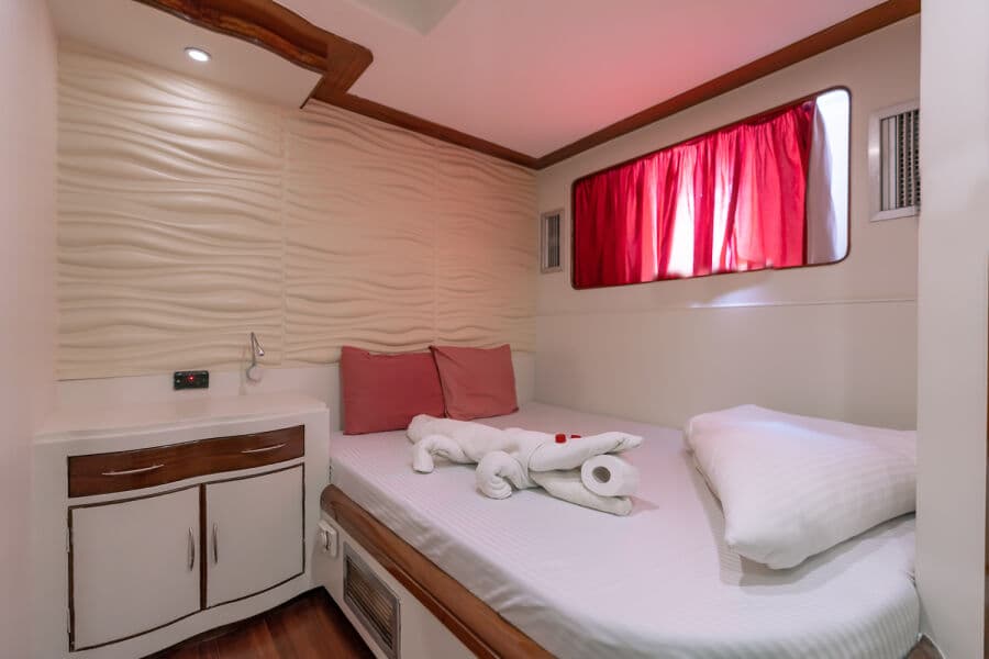 Double Lower Deck - image Double Lower Deck - image