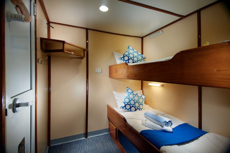 Classic Twin Upper Deck - image Classic Twin Upper Deck - image