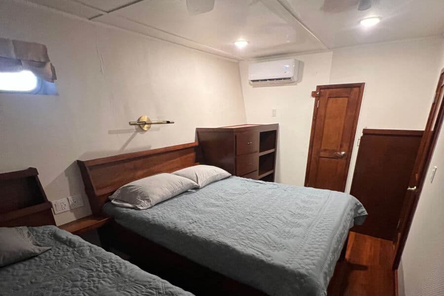 Standard Lower Deck - image Standard Lower Deck - image